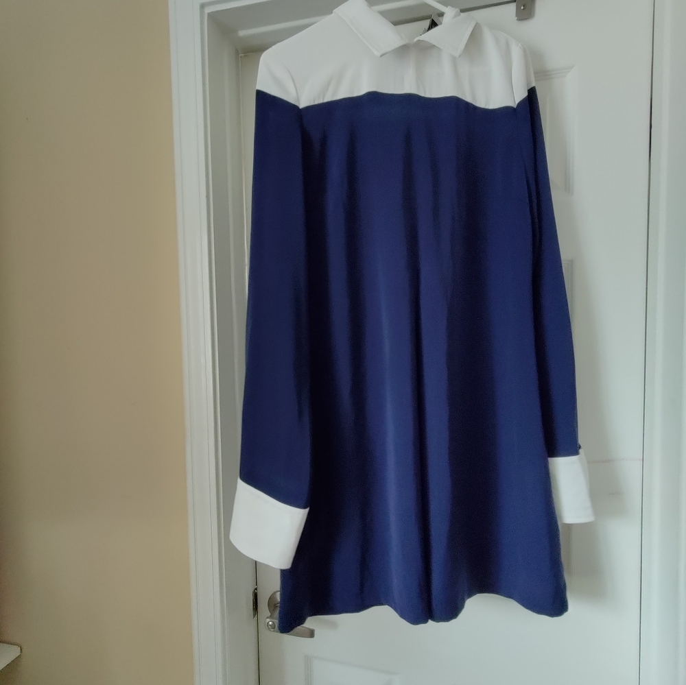 Blue and White Lavish Alice Dress